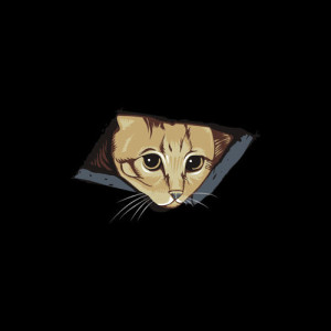 ceiling cat