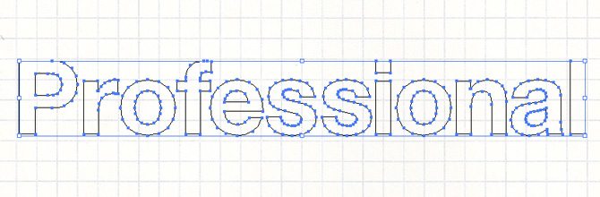 06_professionalook
