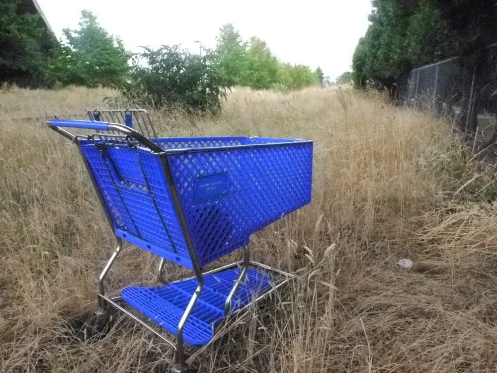 Abandon Shopping Cart